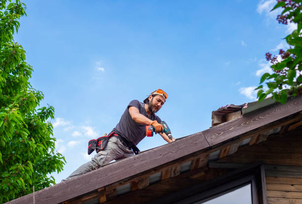 Best Roof Moss and Algae Removal  in Reinbeck, IA