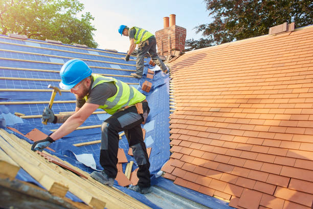 Best Gutter Installation and Repair  in Reinbeck, IA